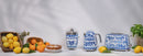 Citrus Juicer Blu Mediterraneo
